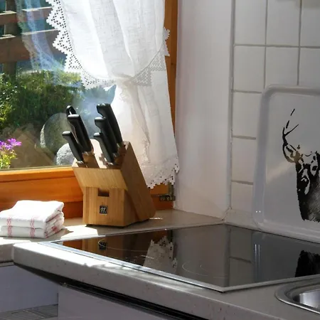 Ferienhaus Kanzelwand Apartment Riezlern