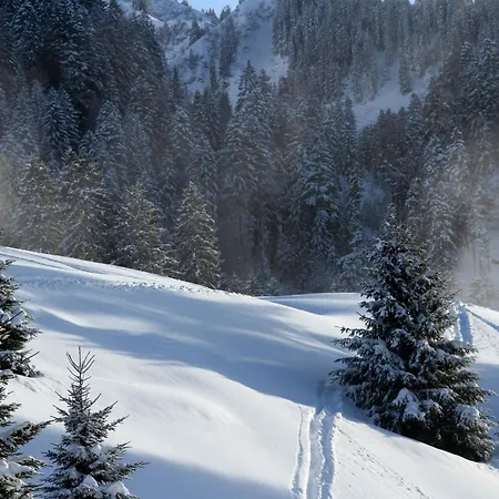 Ferienhaus Kanzelwand Riezlern